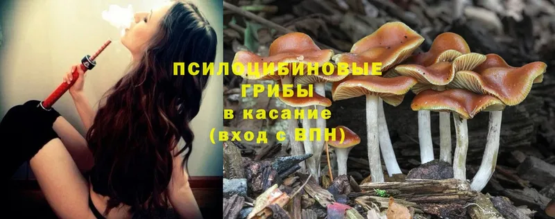 Галлюциногенные грибы Magic Shrooms Дмитриев